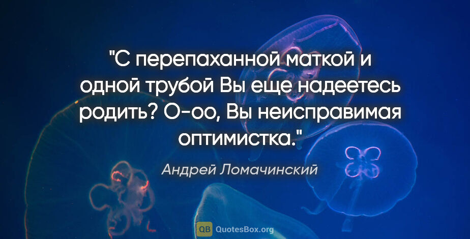 Андрей Ломачинский цитата: "С перепаханной маткой и одной трубой Вы еще надеетесь родить?..."
