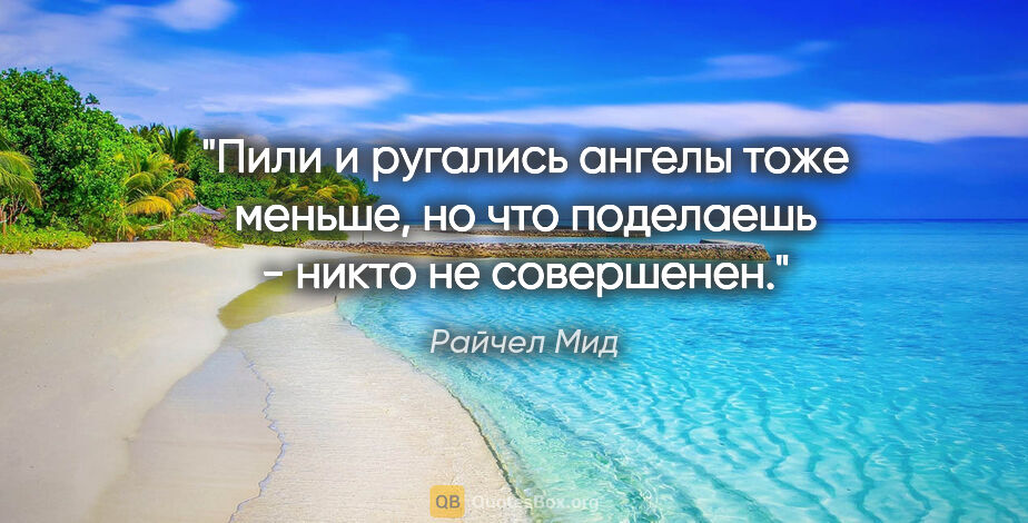 Райчел Мид цитата: "Пили и ругались ангелы тоже меньше, но что поделаешь - никто..."