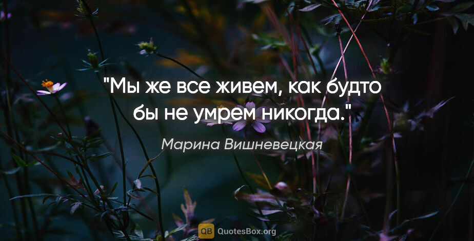 Марина Вишневецкая цитата: "Мы же все живем, как будто бы не умрем никогда."