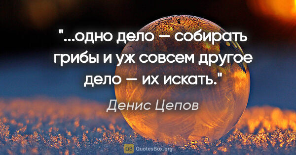 Денис Цепов цитата: "одно дело — собирать грибы и уж совсем другое дело — их..."