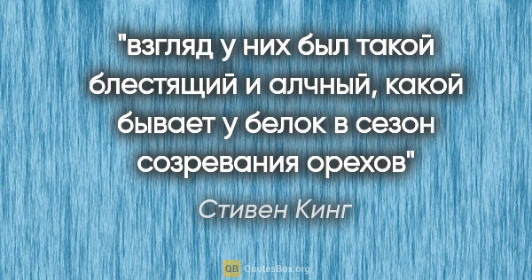 Стивен Кинг цитата: "взгляд у них был такой блестящий и алчный, какой бывает у..."