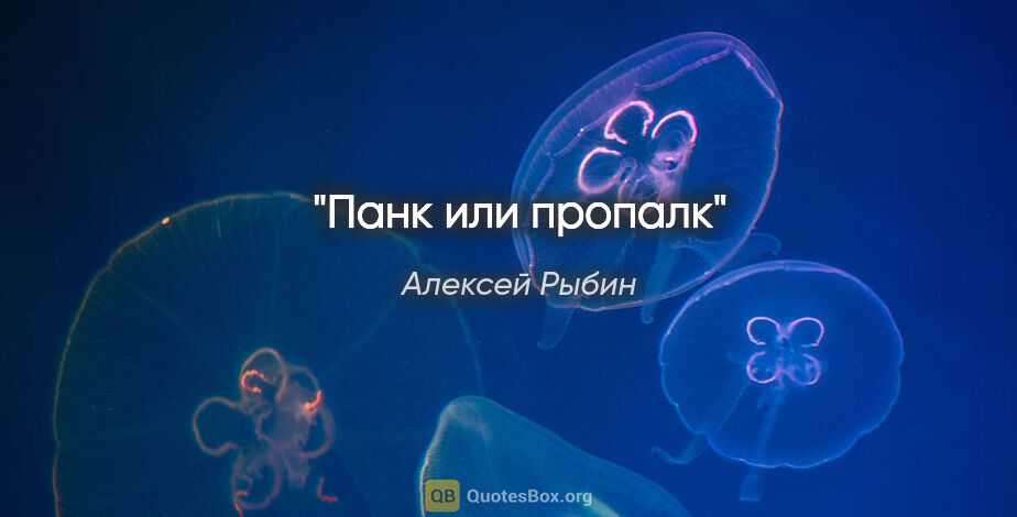 Алексей Рыбин цитата: "Панк или пропалк"