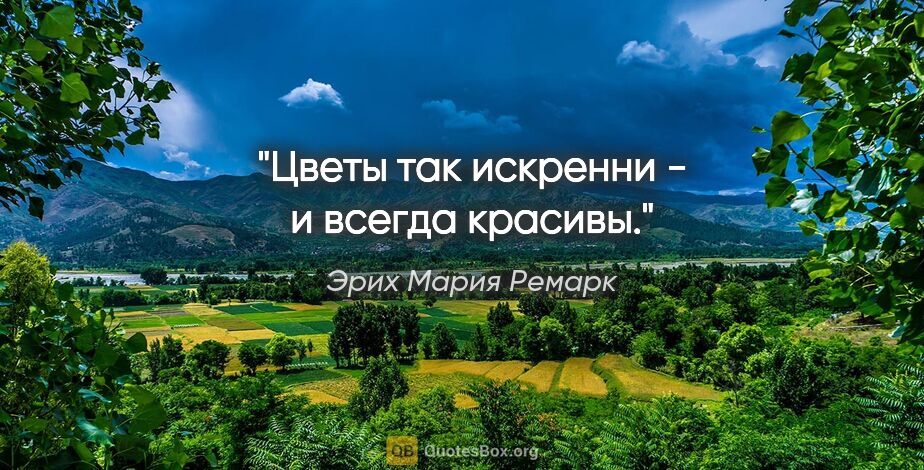 Эрих Мария Ремарк цитата: "Цветы так искренни - и всегда красивы."