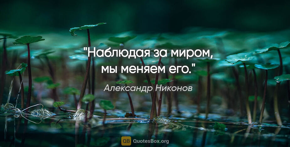 Александр Никонов цитата: "Наблюдая за миром, мы меняем его."