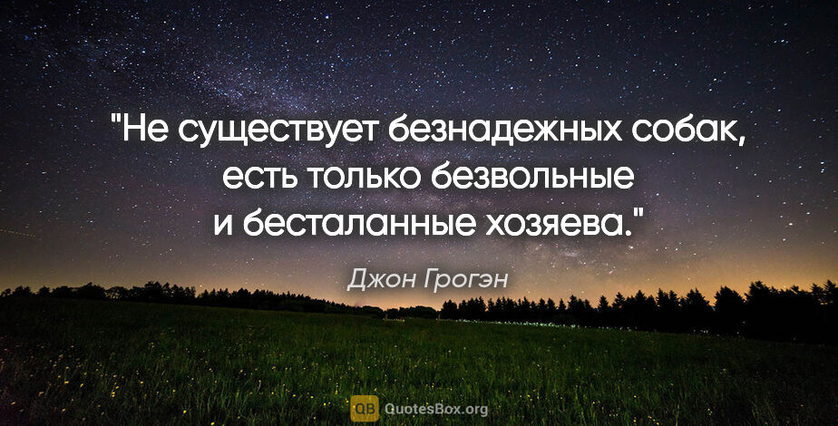 Джон Грогэн цитата: "Не существует безнадежных собак, есть только безвольные и..."