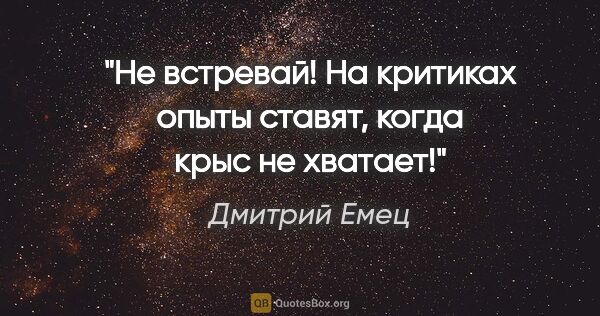 Дмитрий Емец цитата: "Не встревай! На критиках опыты ставят, когда крыс не хватает!"