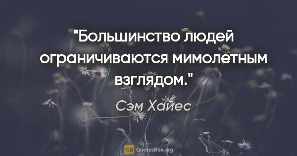 Сэм Хайес цитата: "Большинство людей ограничиваются мимолетным взглядом."