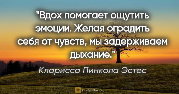 Кларисса Пинкола Эстес цитата: "Вдох помогает ощутить эмоции.

Желая оградить себя от чувств,..."