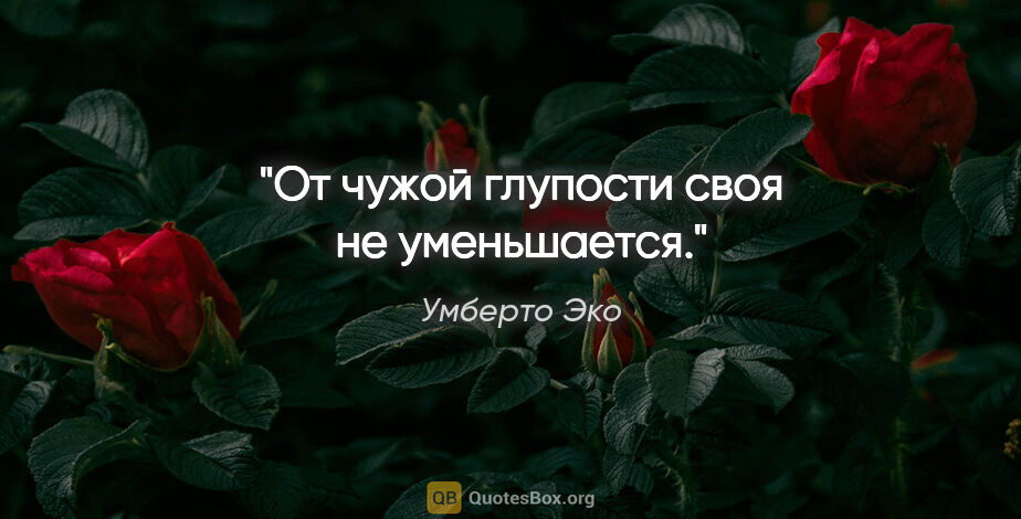 Умберто Эко цитата: "От чужой глупости своя не уменьшается."