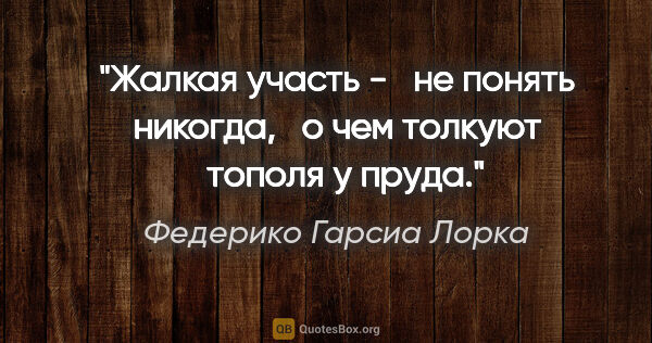 Федерико Гарсиа Лорка цитата: "Жалкая участь -

  не понять никогда,

  о чем толкуют

 ..."