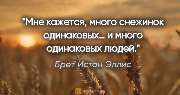 Брет Истон Эллис цитата: "Мне кажется, много снежинок одинаковых… и много одинаковых людей."