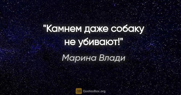 Марина Влади цитата: "Камнем даже собаку не убивают!"