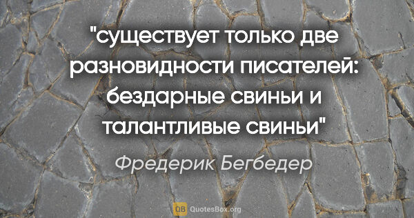 Фредерик Бегбедер цитата: "существует только две разновидности писателей: бездарные..."