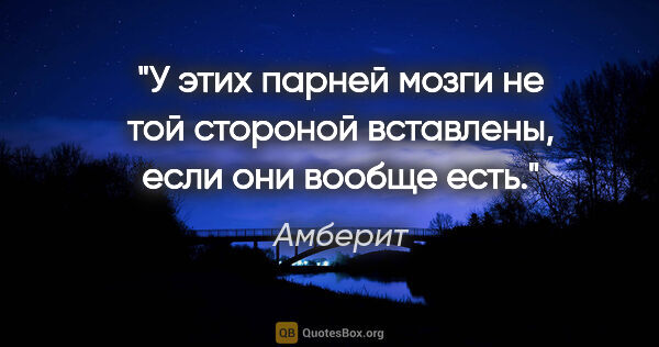 Амберит цитата: "У этих парней мозги не той стороной вставлены, если они вообще..."