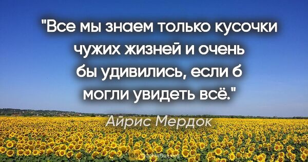 Айрис Мердок цитата: "Все мы знаем только кусочки чужих жизней и очень бы удивились,..."