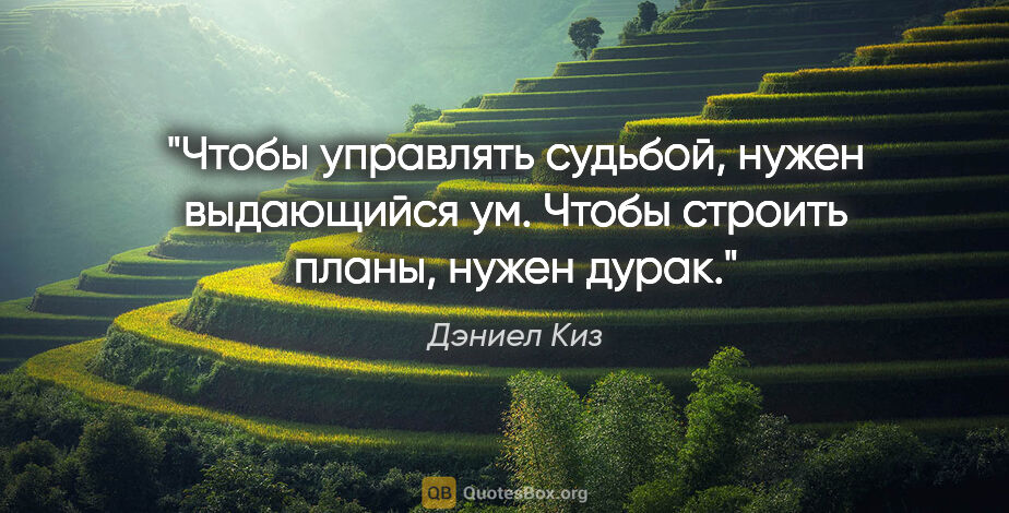 Дэниел Киз цитата: "Чтобы управлять судьбой, нужен выдающийся ум. Чтобы строить..."