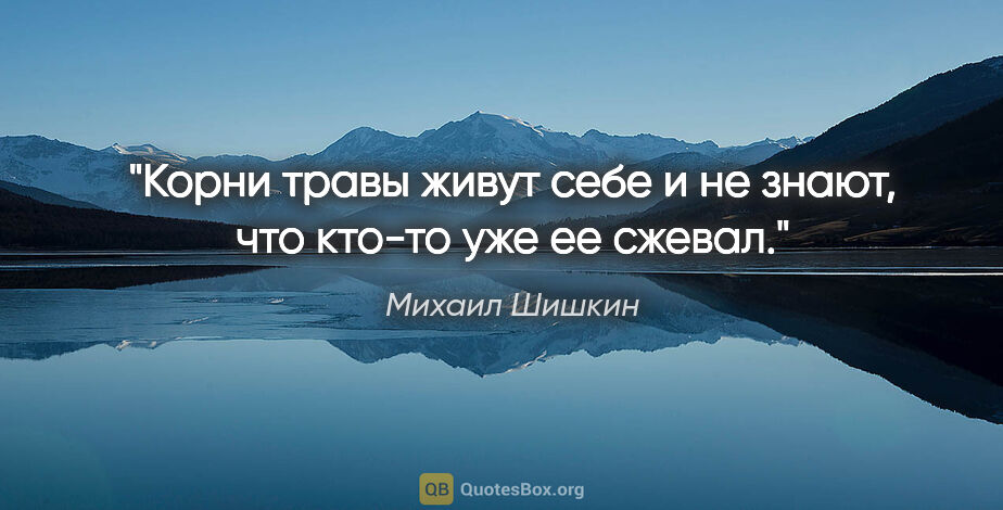 Михаил Шишкин цитата: "Корни травы живут себе и не знают, что кто-то уже ее сжевал."