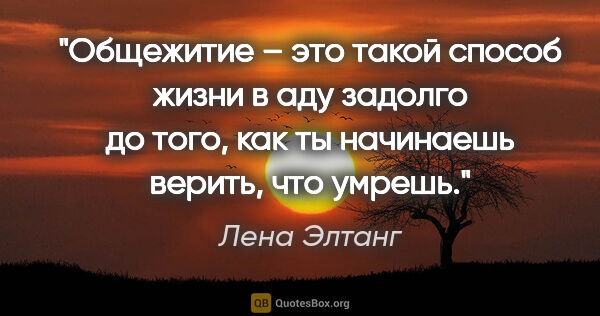 Лена Элтанг цитата: "Общежитие – это такой способ жизни в аду задолго до того, как..."