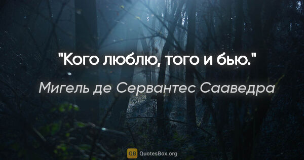 Мигель де Сервантес Сааведра цитата: "Кого люблю, того и бью."