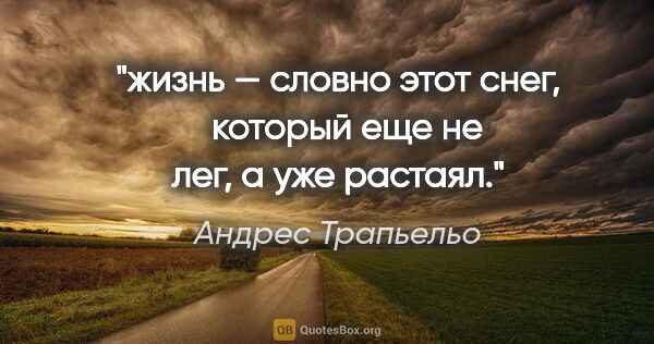 Андрес Трапьельо цитата: "жизнь — словно этот снег, 

 который еще не лег, а уже растаял."