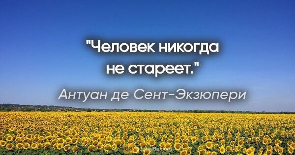 Антуан де Сент-Экзюпери цитата: "Человек никогда не стареет."