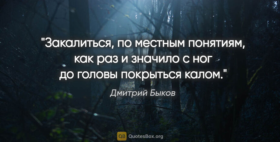Дмитрий Быков цитата: "Закалиться, по местным понятиям, как раз и значило с ног до..."