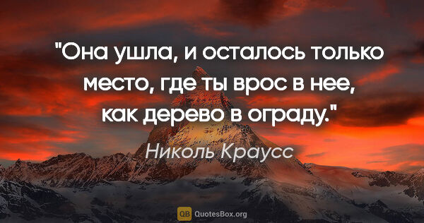 Николь Краусс цитата: "Она ушла, и осталось только место, где ты врос в нее, как..."