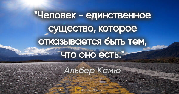 Альбер Камю цитата: "Человек - единственное существо, которое отказывается быть..."