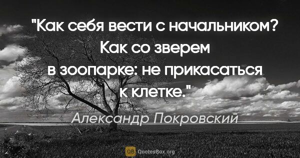 Александр Покровский цитата: "Как себя вести с начальником?

Как со зверем в зоопарке: не..."