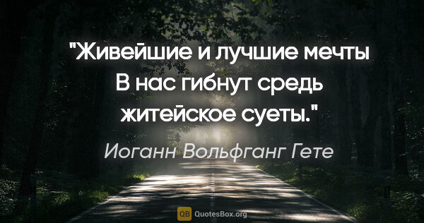 Иоганн Вольфганг Гете цитата: "Живейшие и лучшие мечты

В нас гибнут средь житейское суеты."