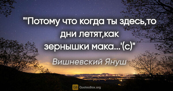 Вишневский Януш цитата: "'Потому что когда ты здесь,то дни летят,как зернышки мака...'(с)"