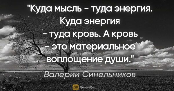 Валерий Синельников цитата: "Куда мысль - туда энергия. Куда энергия - туда кровь. А кровь..."