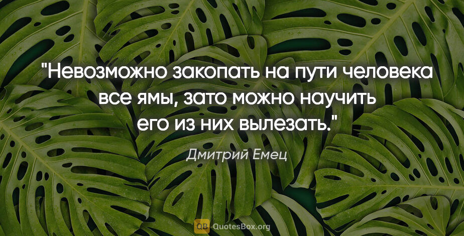 Дмитрий Емец цитата: "Невозможно закопать на пути человека все ямы, зато можно..."