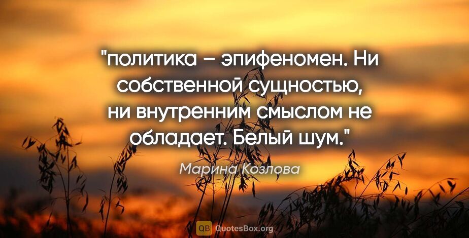 Марина Козлова цитата: "политика – эпифеномен. Ни собственной сущностью, ни внутренним..."