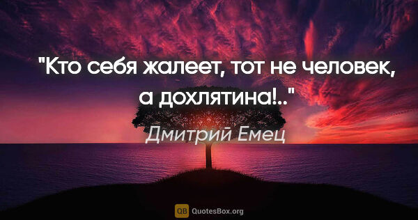 Дмитрий Емец цитата: "Кто себя жалеет, тот не человек, а дохлятина!.."