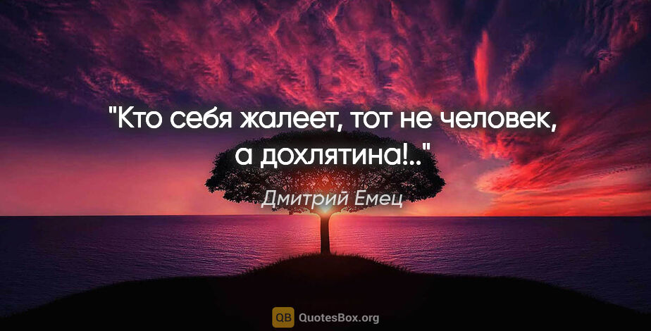 Дмитрий Емец цитата: "Кто себя жалеет, тот не человек, а дохлятина!.."