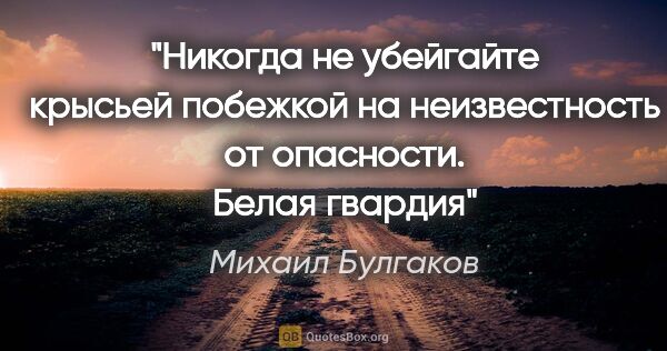 Михаил Булгаков цитата: "Никогда не убейгайте крысьей побежкой на неизвестность от..."