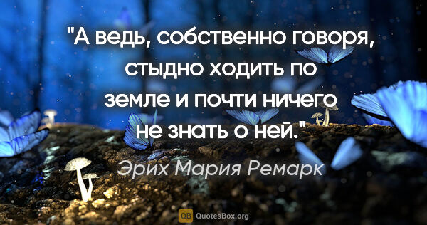 Эрих Мария Ремарк цитата: "А ведь, собственно говоря, стыдно ходить по земле и почти..."