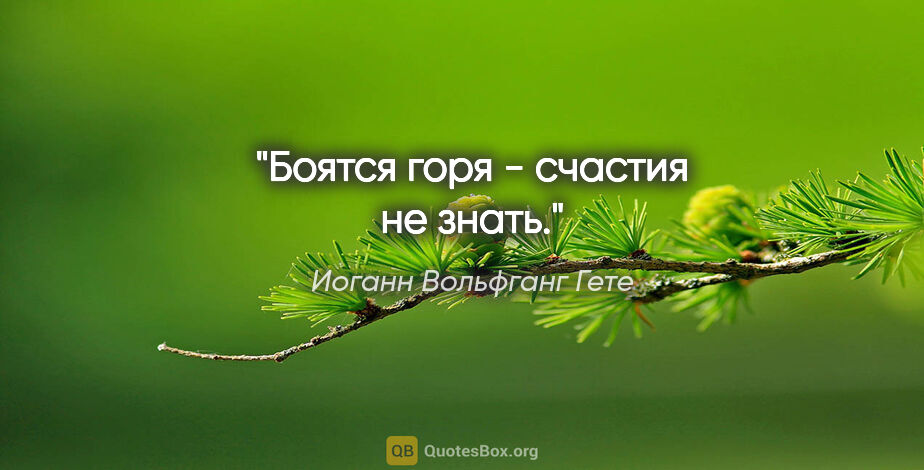 Иоганн Вольфганг Гете цитата: "Боятся горя - счастия не знать."