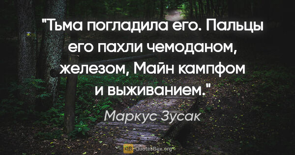 Маркус Зусак цитата: "Тьма погладила его.

Пальцы его пахли чемоданом, железом,..."