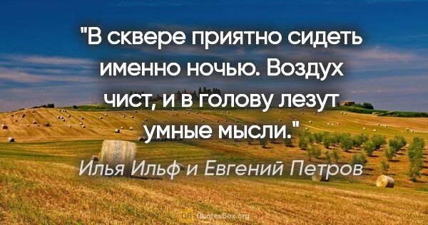 Илья Ильф и Евгений Петров цитата: "В сквере приятно сидеть именно ночью. Воздух чист, и в голову..."