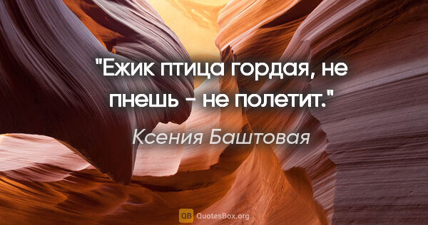 Ксения Баштовая цитата: "Ежик птица гордая, не пнешь - не полетит."