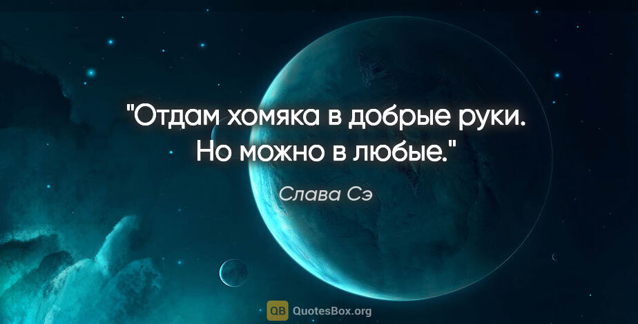 Слава Сэ цитата: "Отдам хомяка в добрые руки. Но можно в любые."