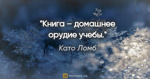 Като Ломб цитата: "Книга – «домашнее орудие» учебы."