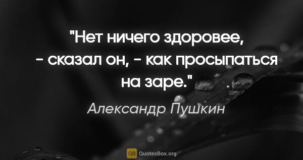 Александр Пушкин цитата: "Нет ничего здоровее, - сказал он, - как просыпаться на заре."