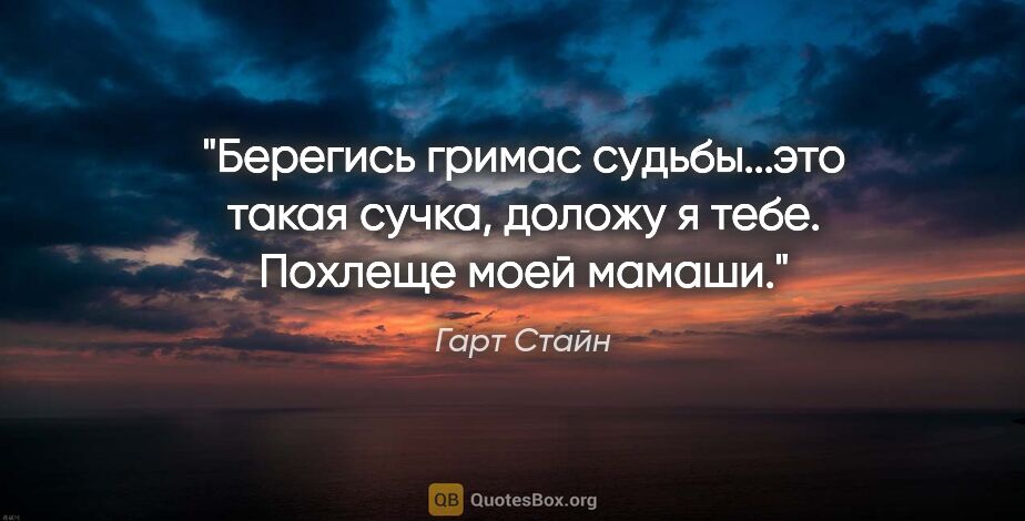 Гарт Стайн цитата: ""Берегись гримас судьбы...это такая сучка, доложу я тебе...."