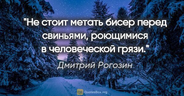 Дмитрий Рогозин цитата: "Не стоит метать бисер перед свиньями, роющимися в человеческой..."