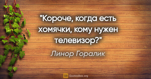 Линор Горалик цитата: "Короче, когда есть хомячки, кому нужен телевизор?"