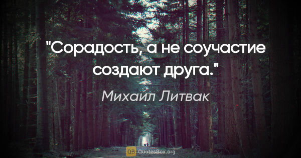 Михаил Литвак цитата: "Сорадость, а не соучастие создают друга."
