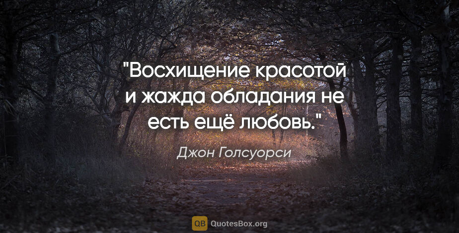 Джон Голсуорси цитата: "Восхищение красотой и жажда обладания не есть ещё любовь."